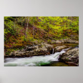 Waldstrom in großen, rauschigen Bergen Poster (Vorne)