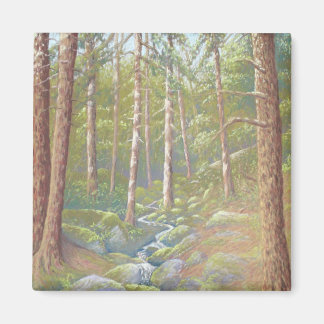 Waldstrom, Peak District in Pastel Magnet