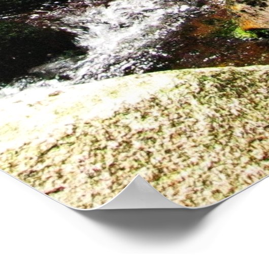 Waldstrom Poster (Ecke)