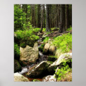 Waldstrom Poster (Vorne)