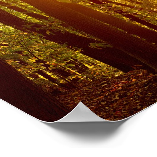 Waldsunrise Poster (Ecke)