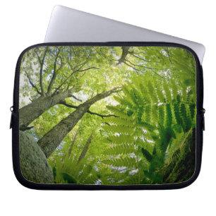 Waldszene im Acadia Nationalpark, Maine. Laptopschutzhülle