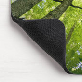 Waldszene im Acadia Nationalpark, Maine. Mousepad (Ecke)