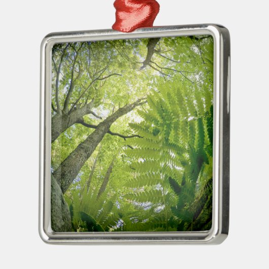 Waldszene im Acadia Nationalpark, Maine. Ornament Aus Metall (Links)