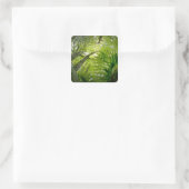 Waldszene im Acadia Nationalpark, Maine. Quadratischer Aufkleber (Tasche)