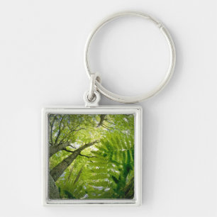 Waldszene im Acadia Nationalpark, Maine. Schlüsselanhänger