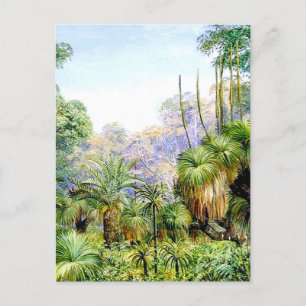 Waldszene in Westaustralien, Postkarte