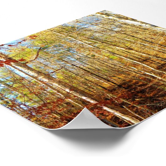 WALDSZENE POSTER (Ecke)