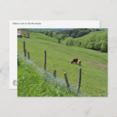 Waldtal, Auvergne Postkarte (Vorne/Hinten)