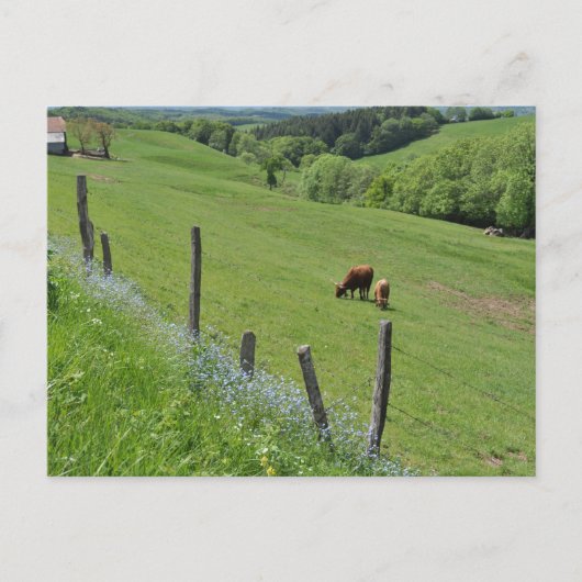 Waldtal, Auvergne Postkarte (Vorderseite)