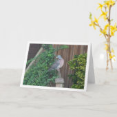 Waldtaube Karte (Gelbe Blume)