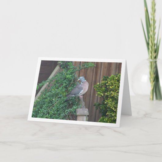 Waldtaube Karte (Vorderseite)