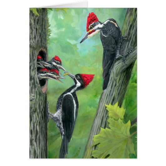 Waldtier Spechtfamilie (Vorne)