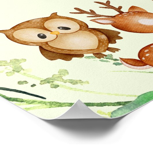 Waldtiere Grünpflanzen Eukalyptus Gefallen Poster (Ecke)