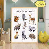 Waldtiere Lehrposter Poster