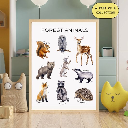 Waldtiere Lehrposter Poster