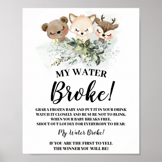 Waldtiere Mein Wasser Broke Babyduschzeichen Poster (Vorne)