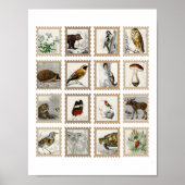 Waldtiere Moose Birds Junk Journal Akzente Poster (Vorne)