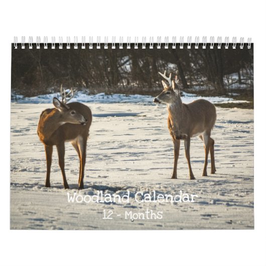Waldtiere Natur Kalender (Titelbild)