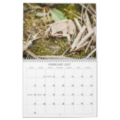 Waldtiere Natur Kalender (Feb 2027)