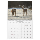 Waldtiere Natur Kalender (Jan 2027)