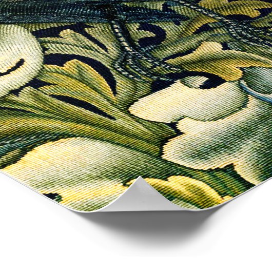 WALDTIERE, RAVEN, FOX, PEACOCK POSTER (Ecke)