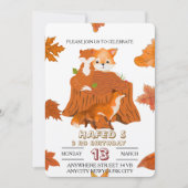 Waldtiere zum Geburtstag Einladung: Niederwald Einladung (Vorderseite)