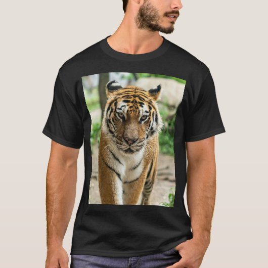 Waldtiger T-Shirt (Vorderseite)