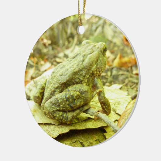 Waldtoad Keramik Ornament (Links)
