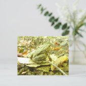 Waldtoad Postkarte (Stehend Vorderseite)