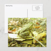 Waldtoad Postkarte (Vorne/Hinten)