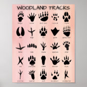 Waldtracks Poster (Vorne)