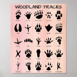 Waldtracks Poster