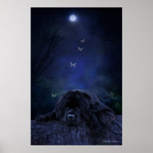 Waldträumer Poster