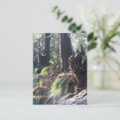 Waldtroll im Schnee #2 Postkarte (Stehend Vorderseite)