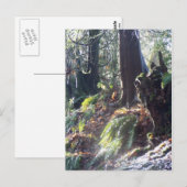 Waldtroll im Schnee #2 Postkarte (Vorne/Hinten)