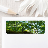 Waldüberpass (Insitu)