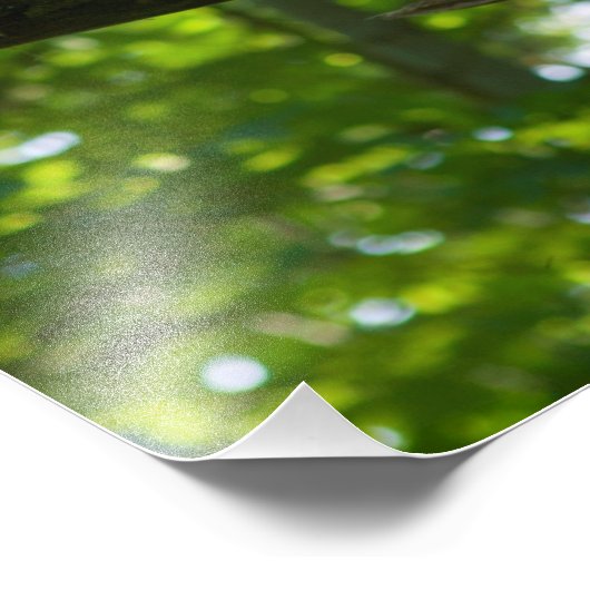 Waldüberpass Fotodruck (Ecke)