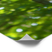 Waldüberpass Poster (Ecke)