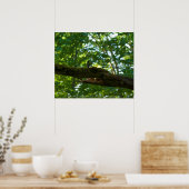 Waldüberpass Poster (Küche)