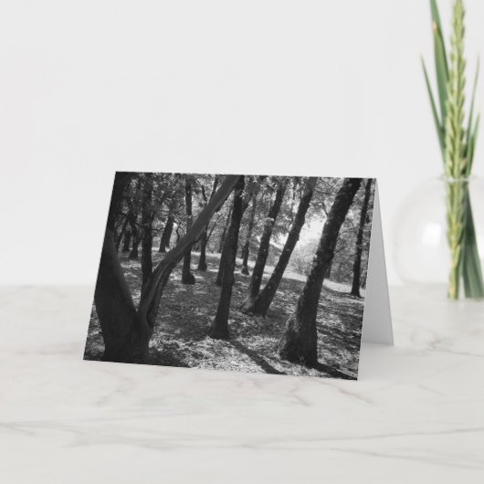 Waldung bei Hopland Station, 1966 Karte (Vorderseite)