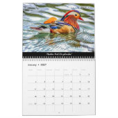 Waldvögel im Dean-Kalender 2022 Kalender (Jan 2027)