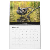 Waldvögel im Dean-Kalender 2022 Kalender (Mär 2027)