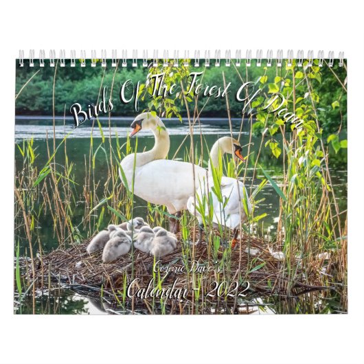 Waldvögel im Dean-Kalender 2022 Kalender (Titelbild)