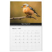 Waldvögel im Dezember 2021 - Kalender (Feb 2027)