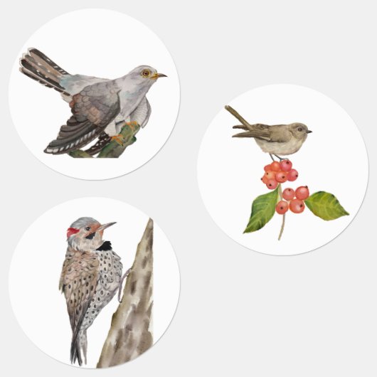 Waldvögel in Aquarellen Etiketten (Gruppe)