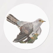 Waldvögel in Aquarellen Etiketten (Design 1)