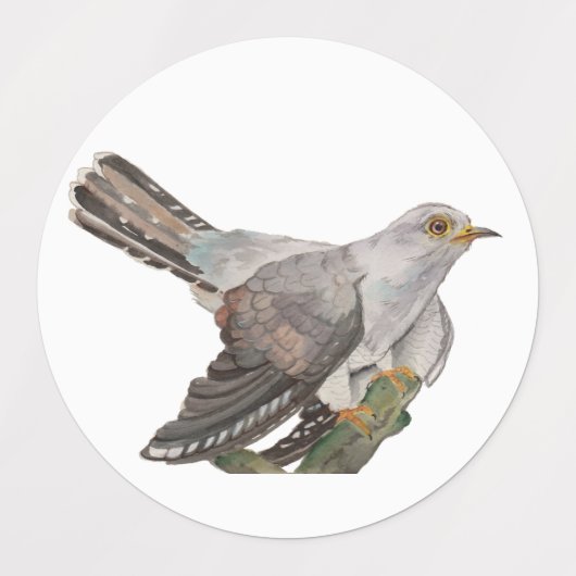 Waldvögel in Aquarellen Etiketten (Design 1)