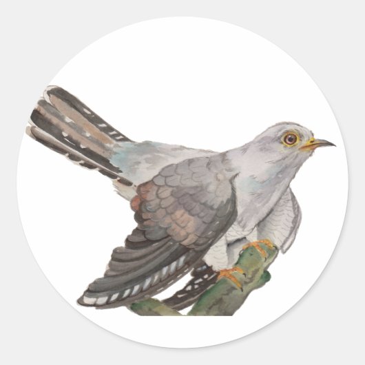 Waldvögel in Aquarellen Runder Aufkleber (Vorderseite)