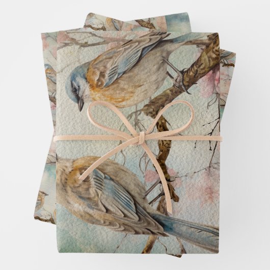 Waldvögel Nr. 3 Geschenkpapier Set (Beispiel)